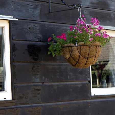 De Schaapskooi - Knus Veluws Vakantiehuisje Ede Exteriör bild